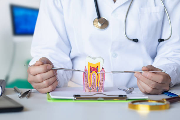 Best Weekend Emergency Dental Services in Auburn, CA
